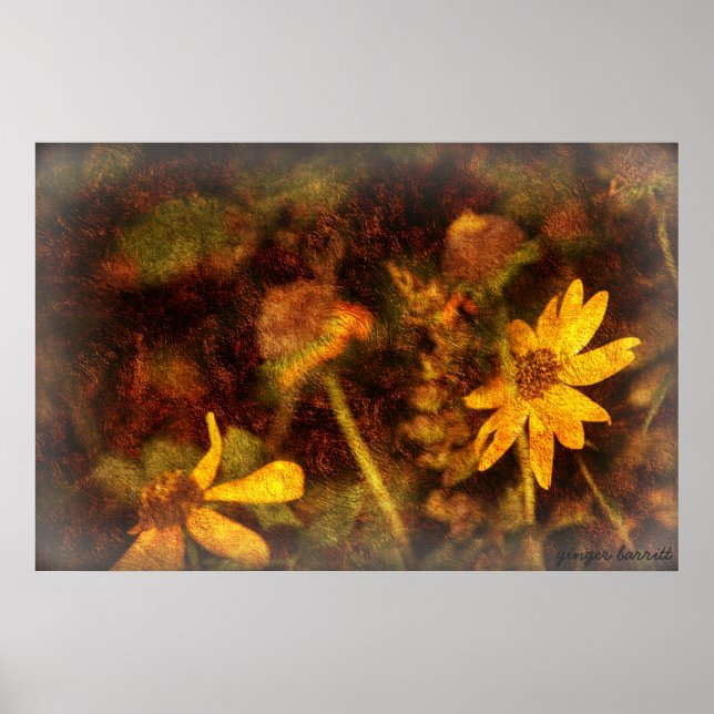 Pôster Sarah (Frente)