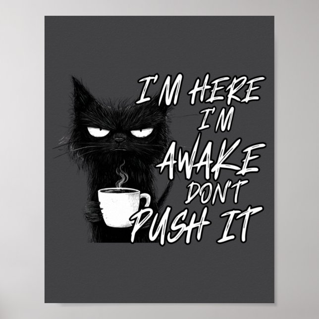 Poster Sarcastic Cat Funny Cat I'm Here I'm Awake Don't P (Frente)