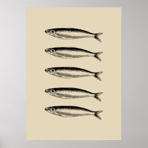 Poster Sardinha