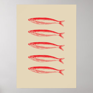 Poster Sardinha Pescador