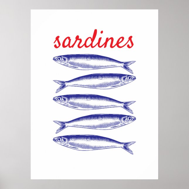 Poster Sardinhas (Frente)