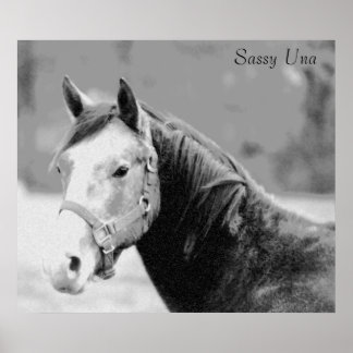 Poster Sassy Una Print