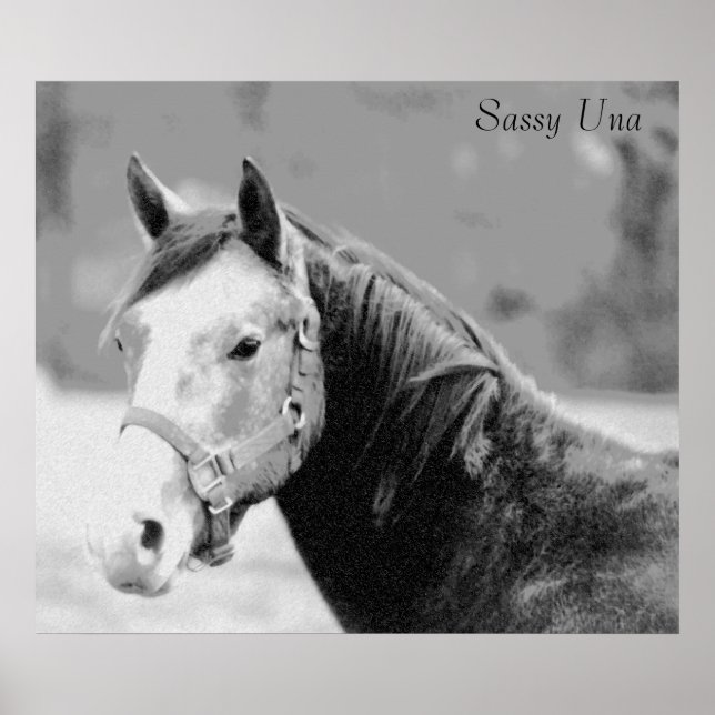 Poster Sassy Una Print (Frente)