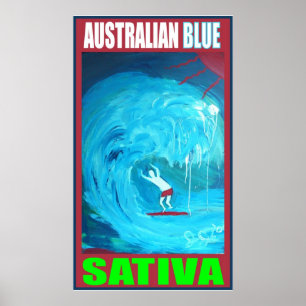 PÔSTER SATIVA AZUL AUSTRALIANA