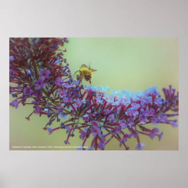 Poster Saudações (Frente)