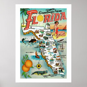 Poster Saudações da Flórida Cartaz 20x28
