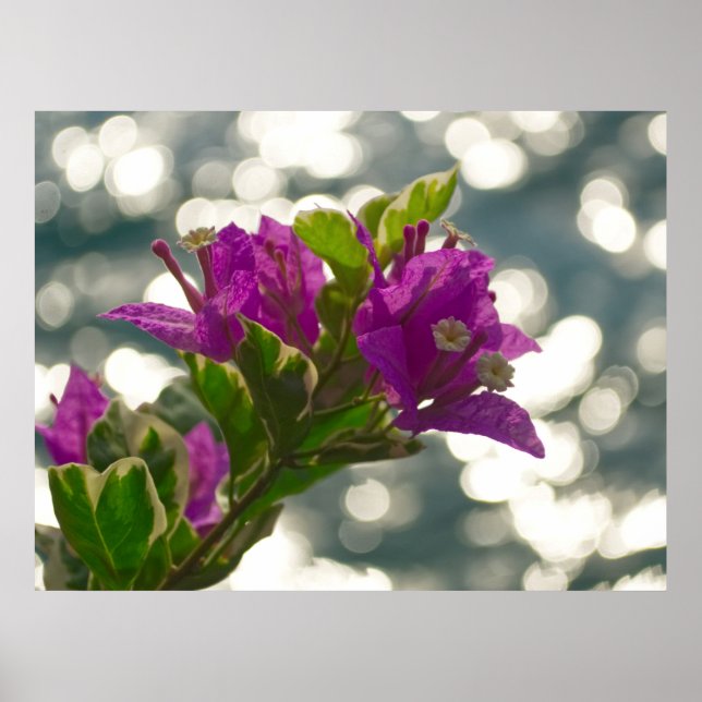 Poster Saudações da Temporada Flores de Primavera Bokeh (Frente)