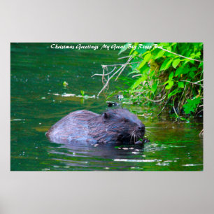Poster Saudações de Natal Meu Rato do Rio