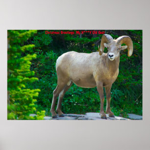 Poster Saudações de Natal Minha Cabra Querida