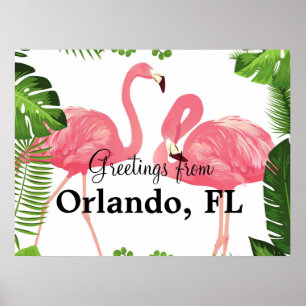 Poster Saudações de Orlando, FL—flamingos cor-de-rosa