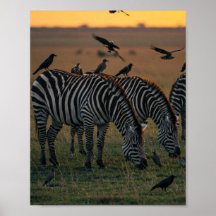 Poster Savanna Stripes Stillness