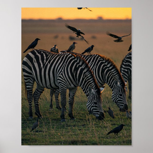 Poster Savanna Stripes Stillness (Frente)