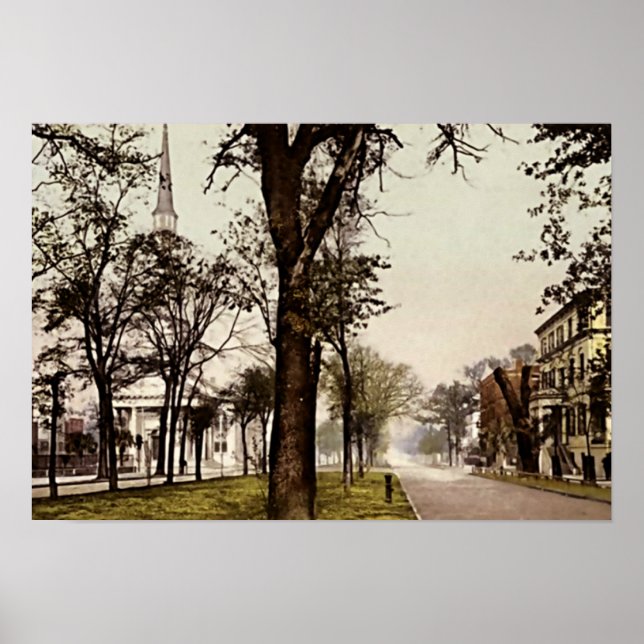 Pôster Savannah, Georgia Oglethorpe Avenue (Frente)