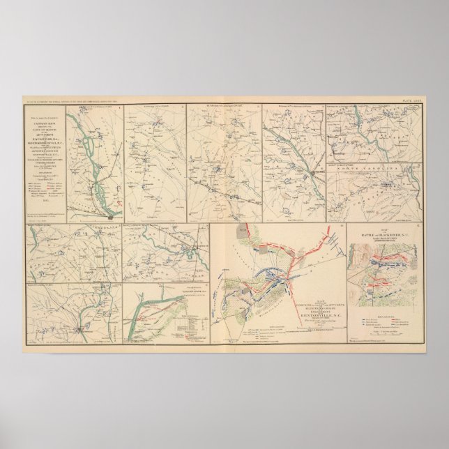 Pôster Savannah Goldsborough campaign maps (Frente)