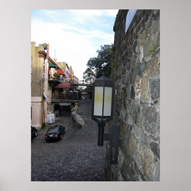 Pôster Savannah na rua de trás (Frente)