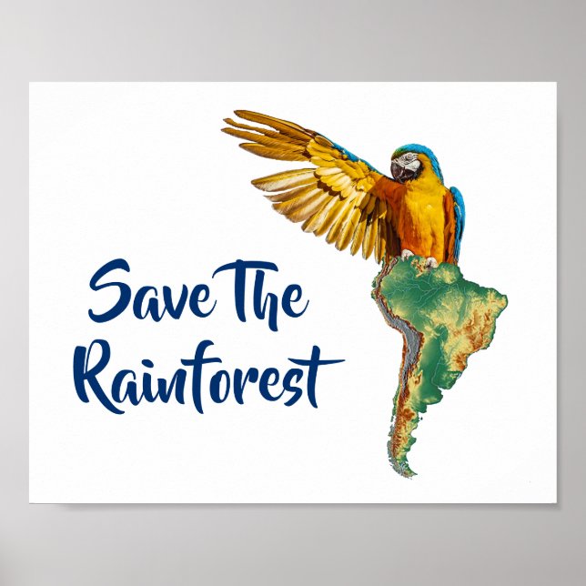 Poster Save The Rainforest (Frente)