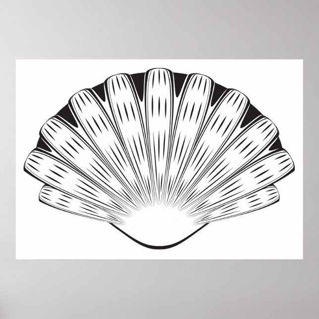 Poster Scallop Seashell Minimalist Black and White (Frente)
