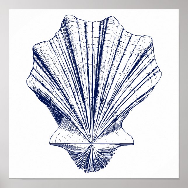 Poster Scallop Seashell minimalista em azul (Frente)