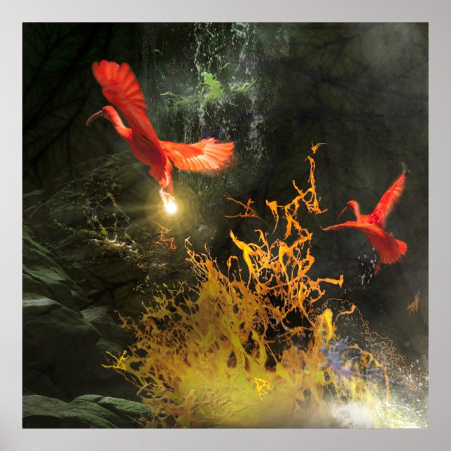 Poster Scarlet Ibis Birds "ROUBANDO A LUZ" (Frente)