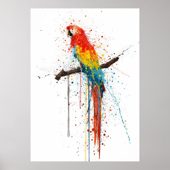 Poster  Scarlet Macaw Bird (Frente)