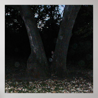 Pôster Scary Faerie