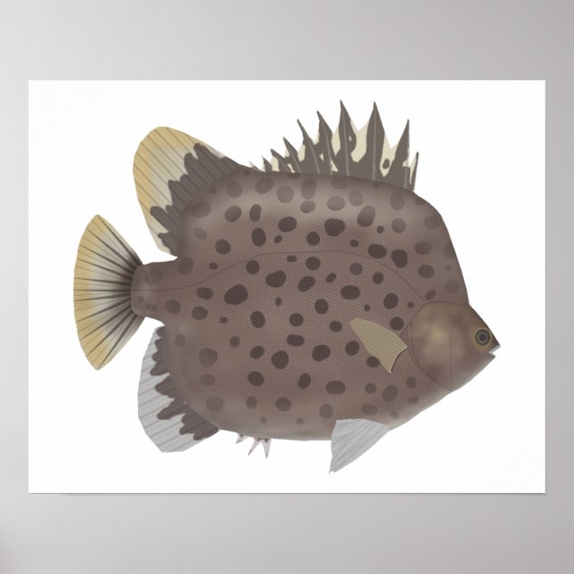 Poster Scat manchado (Frente)