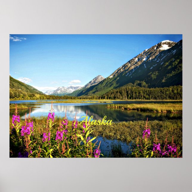 Pôster Scenic Alaska, Rotulado (Frente)