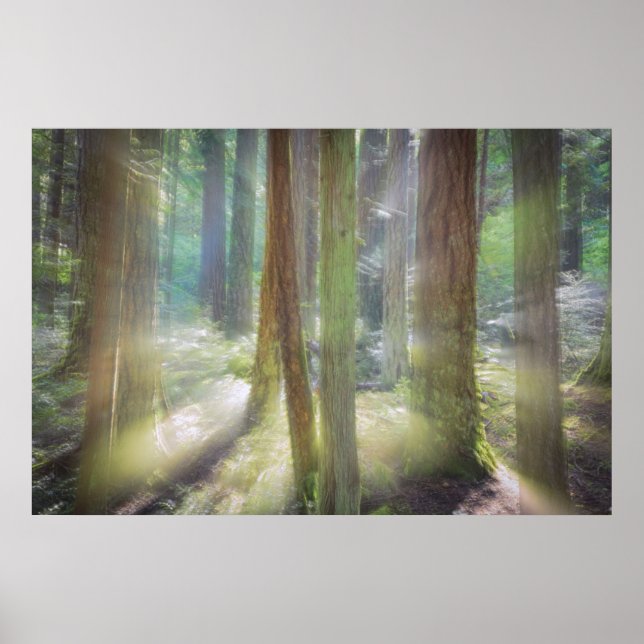 Pôster Scenic Beach State Park (Frente)