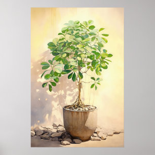 Poster Schefflera Heptaphylla em Pote