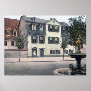 Pôster Schiller House