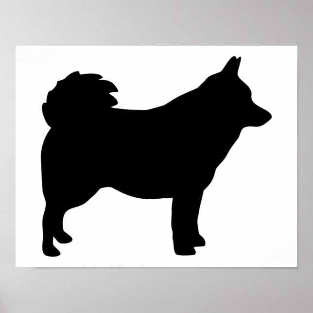 Poster Schipperke (Frente)