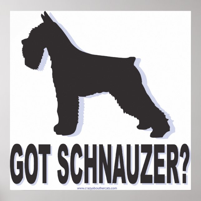 Poster Schnauzer (Frente)