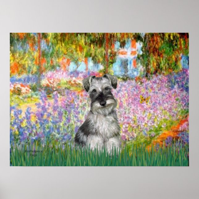 Poster Schnauzer 1N - Jardim (Frente)