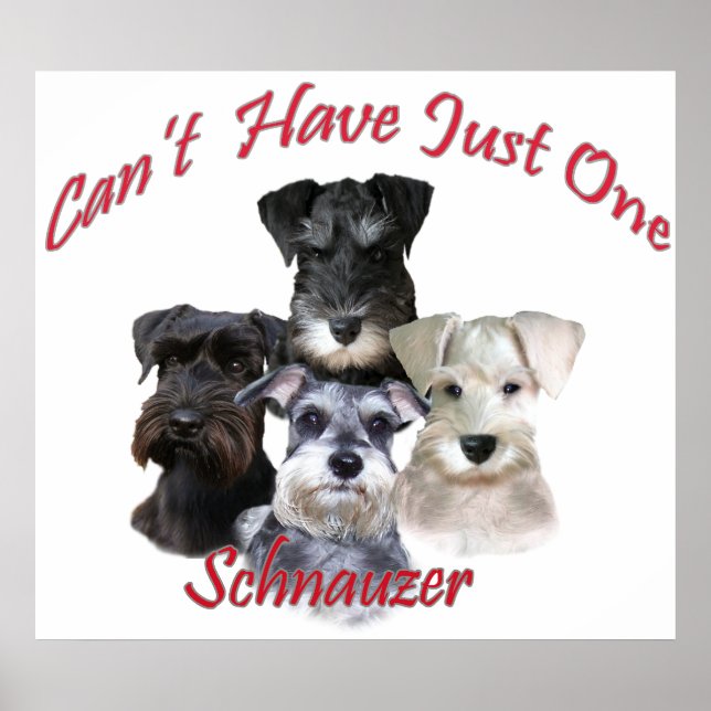 Poster Schnauzer Can't Have Just One Prints (Frente)