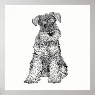 Pôster Schnauzer da arte do poster/parede do cão