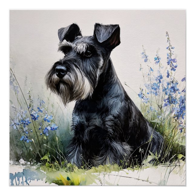 Pôster Schnauzer em Aquarela (Frente)
