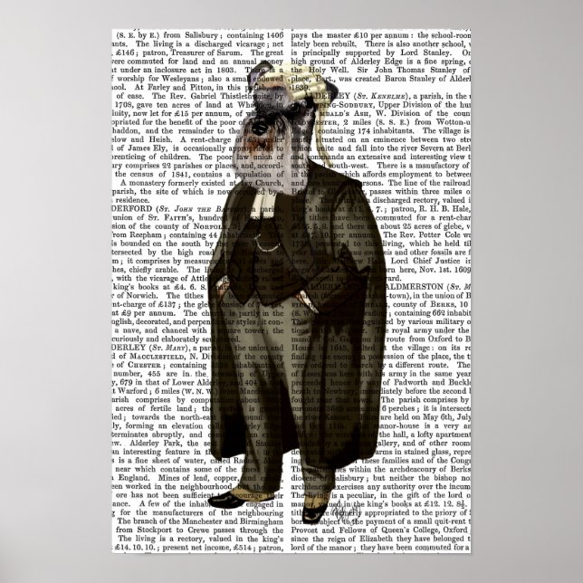 Poster Schnauzer Lawyer (Frente)