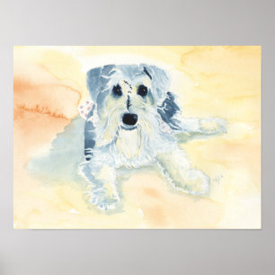 Poster Schnauzer Mia