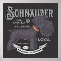 Schnauzer Preto Cinto