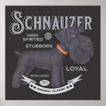 Schnauzer Preto Cinto