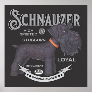 Poster Schnauzer Preto Cinto