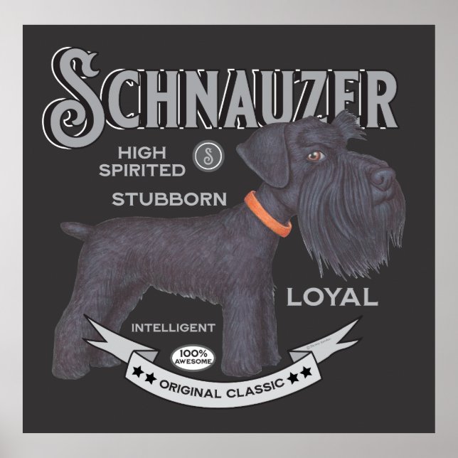 Poster Schnauzer Preto Cinto (Frente)