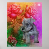 Schnauzer Puppy Fantasy Rosa Cão