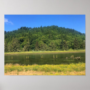 Poster Scholfield Creek, Reedsport