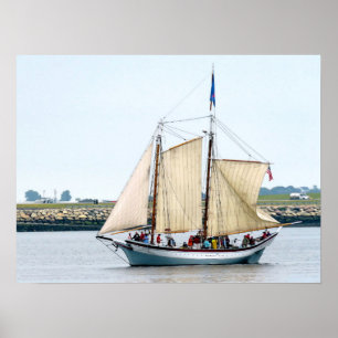 Poster Schooner Ardelle