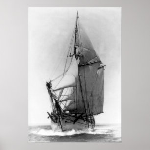 Poster Schooner EG White