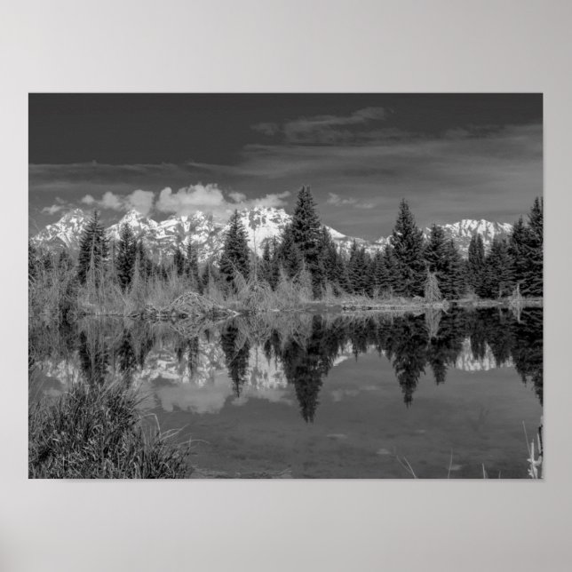 Poster Schwabacher Landing (Frente)