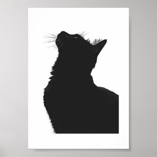 Poster Schwarze Katze