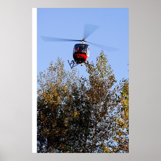 Pôster Schweizer vindo para terra (Frente)