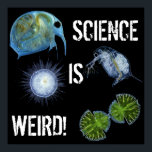 Pôster Science is Weird poster!<br><div class="desc">Customize anyway you want.</div>